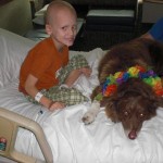 A boy and his dog in hospital bed